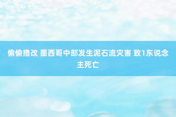 偷偷撸改 墨西哥中部发生泥石流灾害 致1东说念主死亡