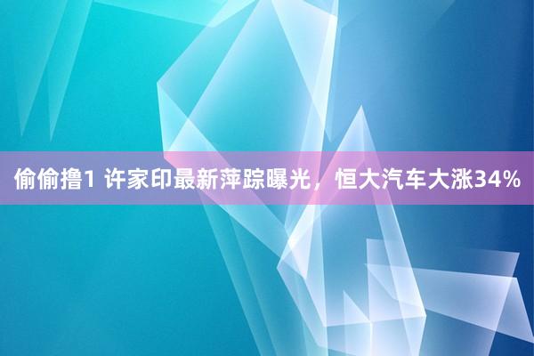 偷偷撸1 许家印最新萍踪曝光，恒大汽车大涨34%