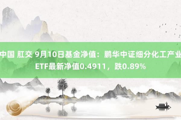 中国 肛交 9月10日基金净值：鹏华中证细分化工产业ETF最新净值0.4911，跌0.89%