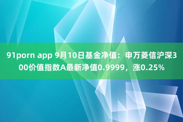 91porn app 9月10日基金净值：申万菱信沪深300价值指数A最新净值0.9999，涨0.25%