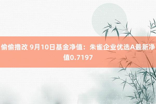 偷偷撸改 9月10日基金净值：朱雀企业优选A最新净值0.7197