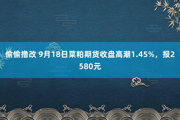 偷偷撸改 9月18日菜粕期货收盘高潮1.45%，报2580元