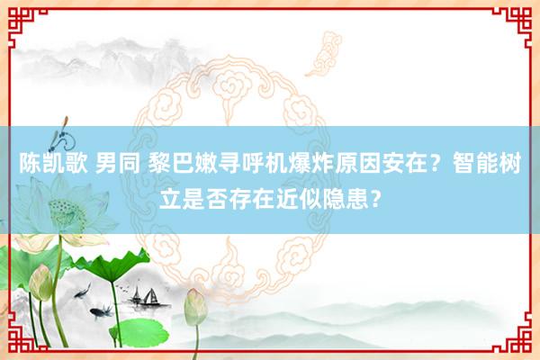 陈凯歌 男同 黎巴嫩寻呼机爆炸原因安在？智能树立是否存在近似隐患？