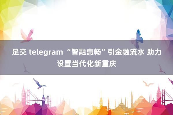 足交 telegram “智融惠畅”引金融流水 助力设置当代化新重庆