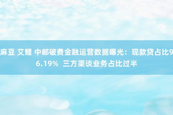 麻豆 艾鲤 中邮破费金融运营数据曝光：现款贷占比96.19%  三方渠谈业务占比过半