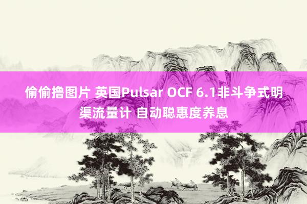 偷偷撸图片 英国Pulsar OCF 6.1非斗争式明渠流量计 自动聪惠度养息