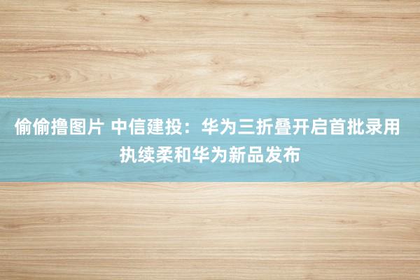 偷偷撸图片 中信建投：华为三折叠开启首批录用 执续柔和华为新品发布