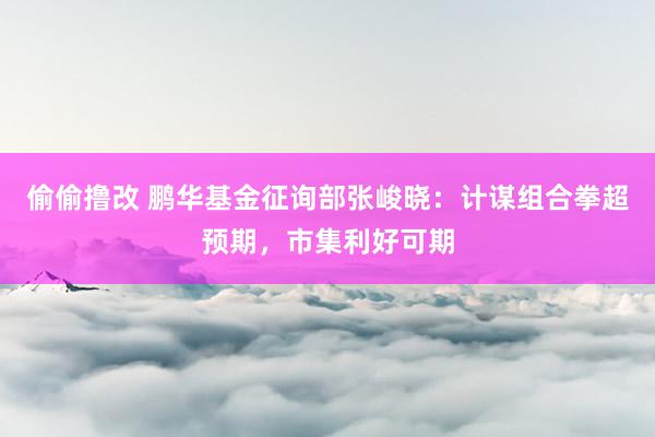 偷偷撸改 鹏华基金征询部张峻晓：计谋组合拳超预期，市集利好可期