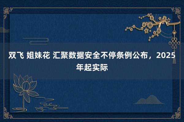 双飞 姐妹花 汇聚数据安全不停条例公布，2025年起实际