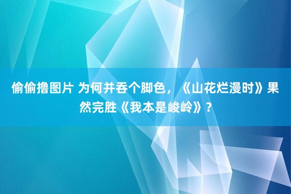 偷偷撸图片 为何并吞个脚色，《山花烂漫时》果然完胜《我本是峻岭》？