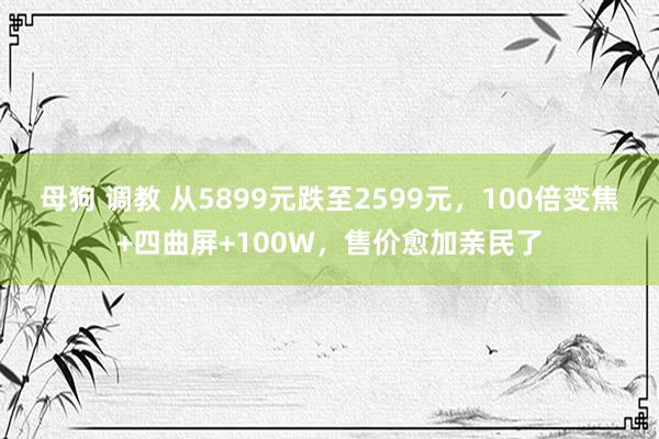 母狗 调教 从5899元跌至2599元，100倍变焦+四曲屏+100W，售价愈加亲民了