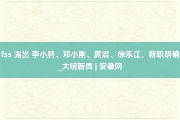 fss 露出 李小鹏、邓小刚、庹震、徐乐江，新职明确_大皖新闻 | 安徽网