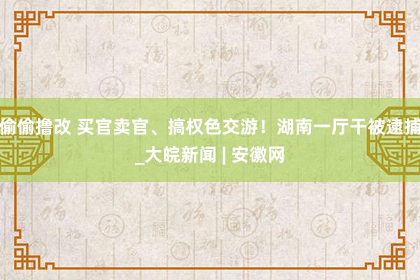 偷偷撸改 买官卖官、搞权色交游！湖南一厅干被逮捕_大皖新闻 | 安徽网