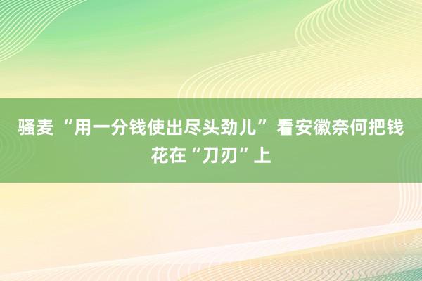 骚麦 “用一分钱使出尽头劲儿” 看安徽奈何把钱花在“刀刃”上