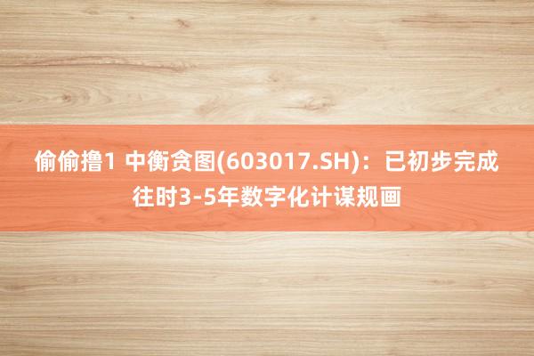 偷偷撸1 中衡贪图(603017.SH)：已初步完成往时3-5年数字化计谋规画