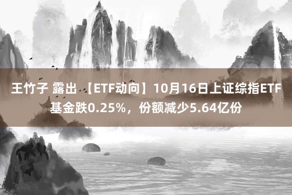 王竹子 露出 【ETF动向】10月16日上证综指ETF基金跌0.25%，份额减少5.64亿份