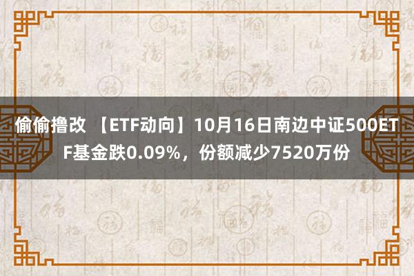 偷偷撸改 【ETF动向】10月16日南边中证500ETF基金跌0.09%，份额减少7520万份