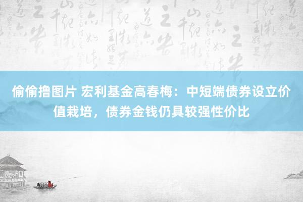 偷偷撸图片 宏利基金高春梅：中短端债券设立价值栽培，债券金钱仍具较强性价比