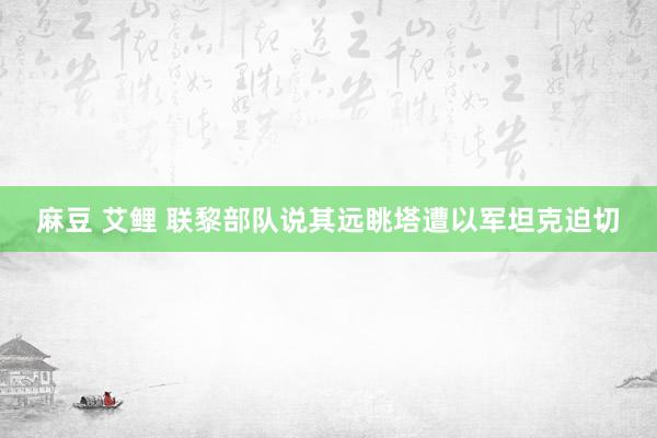 麻豆 艾鲤 联黎部队说其远眺塔遭以军坦克迫切