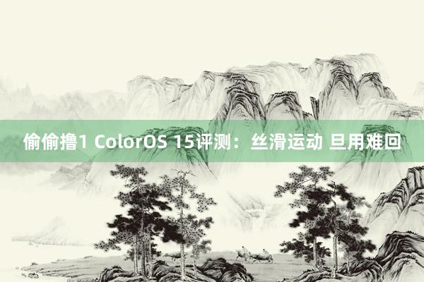 偷偷撸1 ColorOS 15评测：丝滑运动 旦用难回