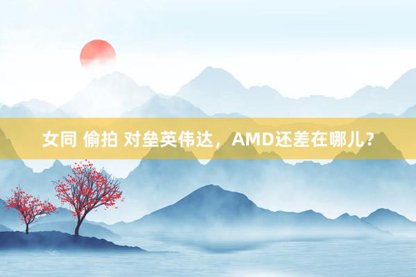 女同 偷拍 对垒英伟达，AMD还差在哪儿？