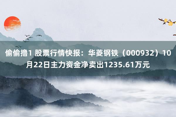 偷偷撸1 股票行情快报：华菱钢铁（000932）10月22日主力资金净卖出1235.61万元