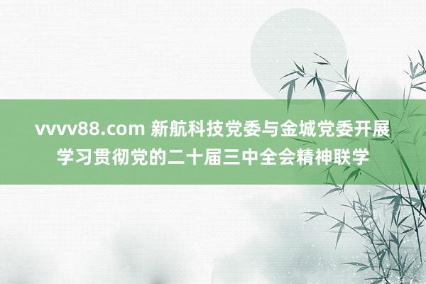 vvvv88.com 新航科技党委与金城党委开展学习贯彻党的二十届三中全会精神联学