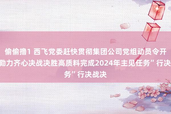 偷偷撸1 西飞党委赶快贯彻集团公司党组动员令　开展“勠力齐心决战决胜　高质料完成2024年主见任务”行决战决