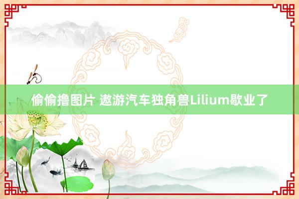 偷偷撸图片 遨游汽车独角兽Lilium歇业了