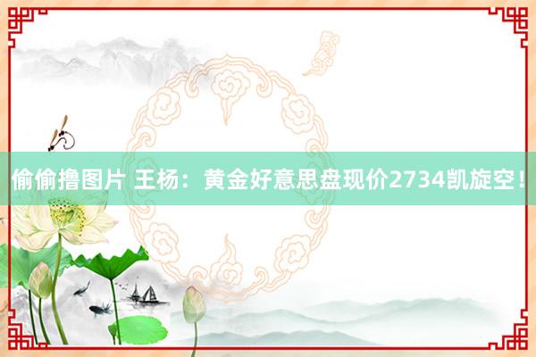 偷偷撸图片 王杨：黄金好意思盘现价2734凯旋空！