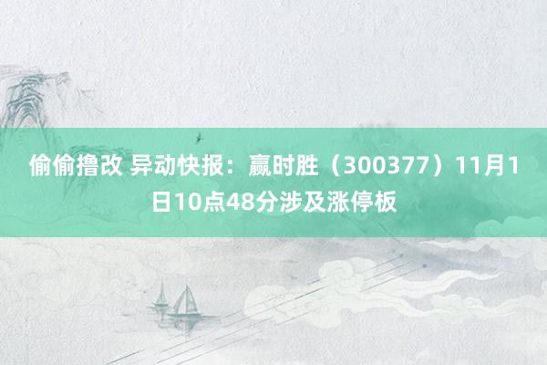 偷偷撸改 异动快报：赢时胜（300377）11月1日10点48分涉及涨停板