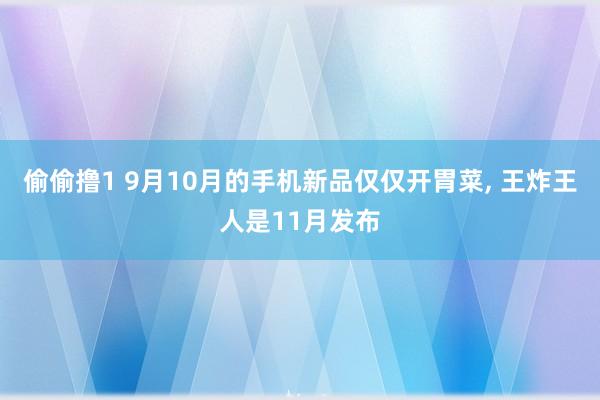 偷偷撸1 9月10月的手机新品仅仅开胃菜， 王炸王人是11月发布