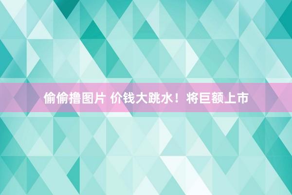 偷偷撸图片 价钱大跳水！将巨额上市