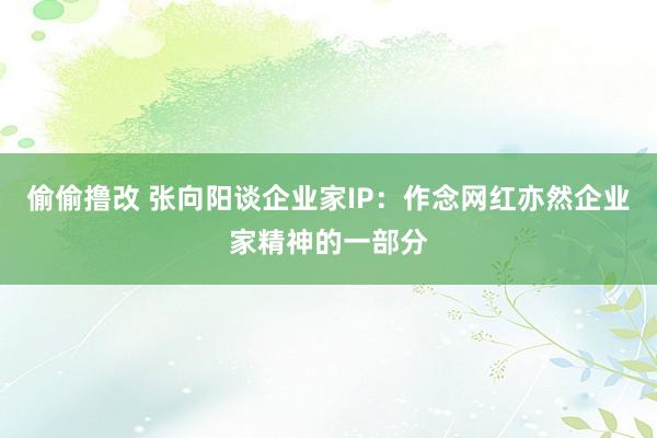 偷偷撸改 张向阳谈企业家IP：作念网红亦然企业家精神的一部分