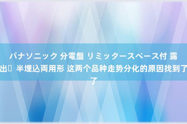 パナソニック 分電盤 リミッタースペース付 露出・半埋込両用形 这两个品种走势分化的原因找到了