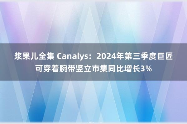 浆果儿全集 Canalys：2024年第三季度巨匠可穿着腕带竖立市集同比增长3%