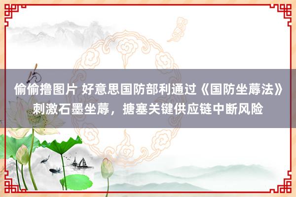 偷偷撸图片 好意思国防部利通过《国防坐蓐法》刺激石墨坐蓐，搪塞关键供应链中断风险