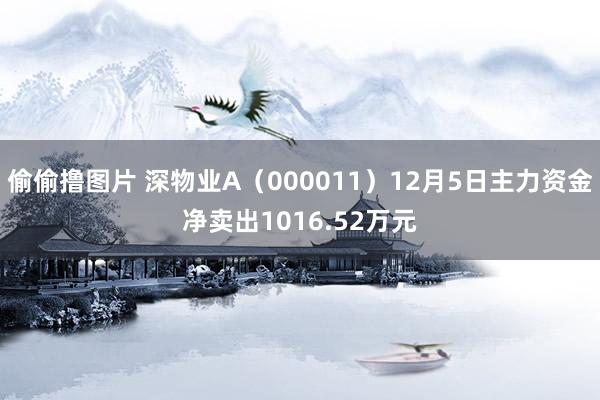 偷偷撸图片 深物业A（000011）12月5日主力资金净卖出1016.52万元