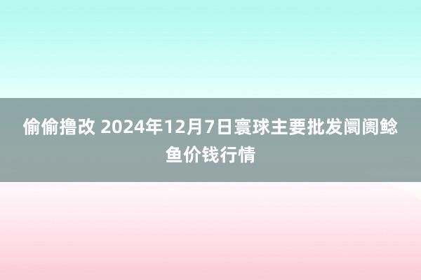 偷偷撸改 2024年12月7日寰球主要批发阛阓鲶鱼价钱行情