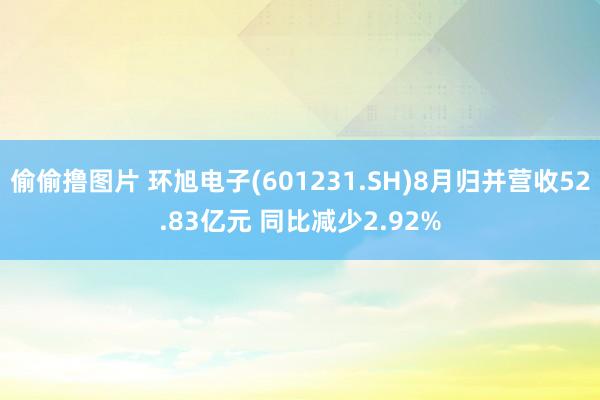 偷偷撸图片 环旭电子(601231.SH)8月归并营收52.83亿元 同比减少2.92%