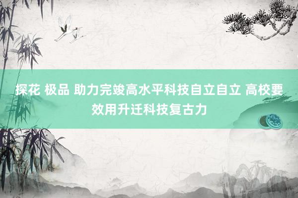 探花 极品 助力完竣高水平科技自立自立 高校要效用升迁科技复古力