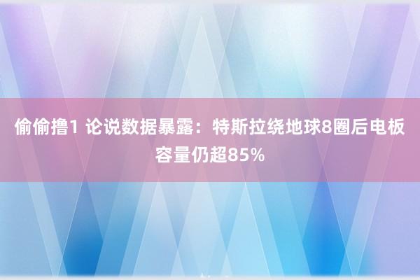 偷偷撸1 论说数据暴露：特斯拉绕地球8圈后电板容量仍超85%