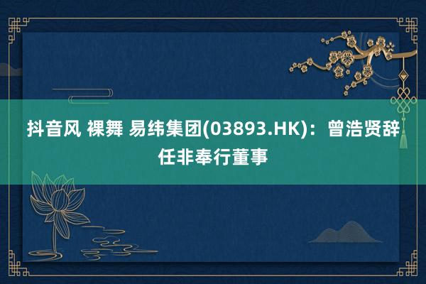 抖音风 裸舞 易纬集团(03893.HK)：曾浩贤辞任非奉行董事