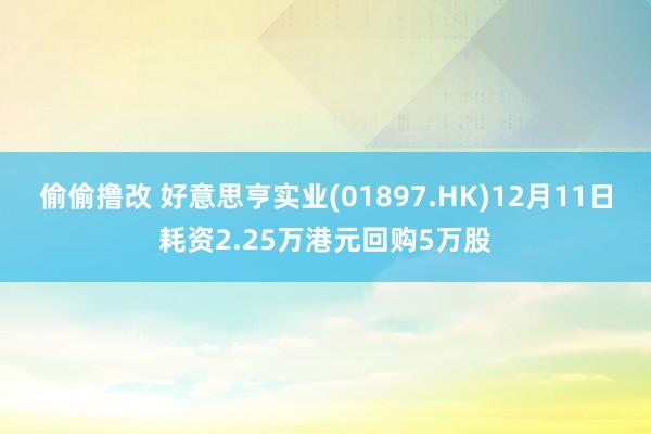 偷偷撸改 好意思亨实业(01897.HK)12月11日耗资2.25万港元回购5万股