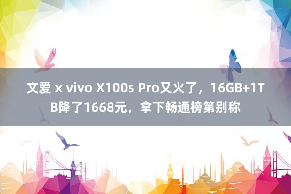 文爱 x vivo X100s Pro又火了，16GB+1TB降了1668元，拿下畅通榜第别称