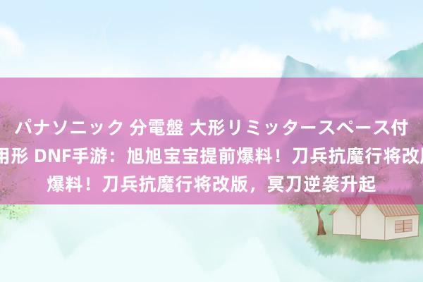 パナソニック 分電盤 大形リミッタースペース付 露出・半埋込両用形 DNF手游：旭旭宝宝提前爆料！刀兵抗魔行将改版，冥刀逆袭升起