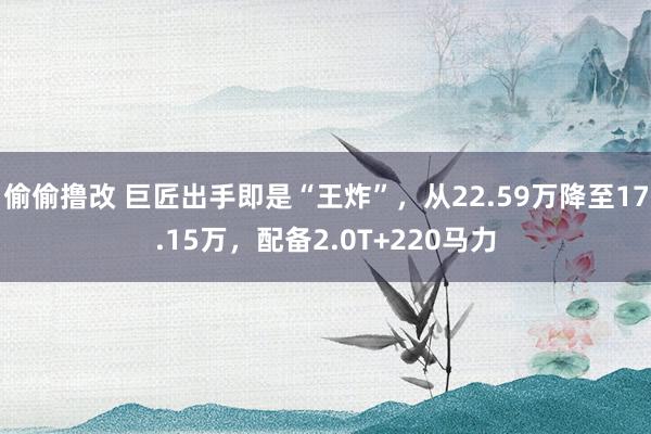 偷偷撸改 巨匠出手即是“王炸”，从22.59万降至17.15万，配备2.0T+220马力