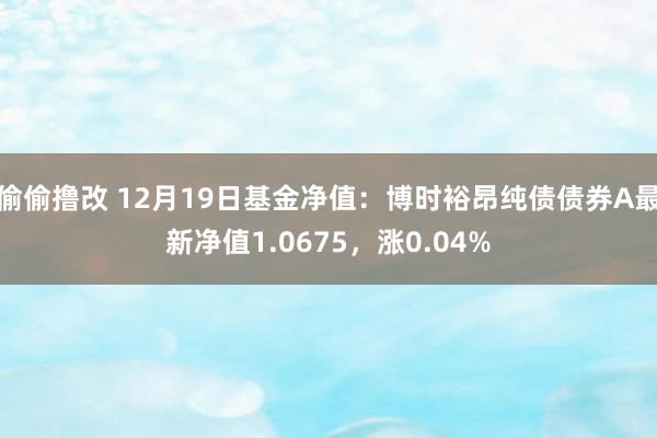 偷偷撸改 12月19日基金净值：博时裕昂纯债债券A最新净值1.0675，涨0.04%