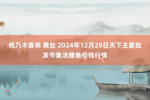 桃乃木香奈 黑丝 2024年12月29日天下主要批发市集活鲤鱼价钱行情