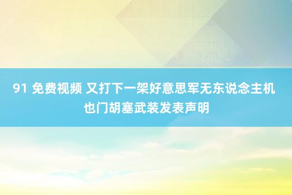 91 免费视频 又打下一架好意思军无东说念主机 也门胡塞武装发表声明